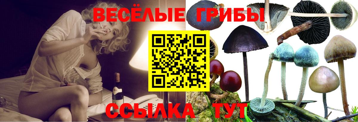 Галлюциногенные грибы Magic Shrooms  Вход с VPN  Кыштым 